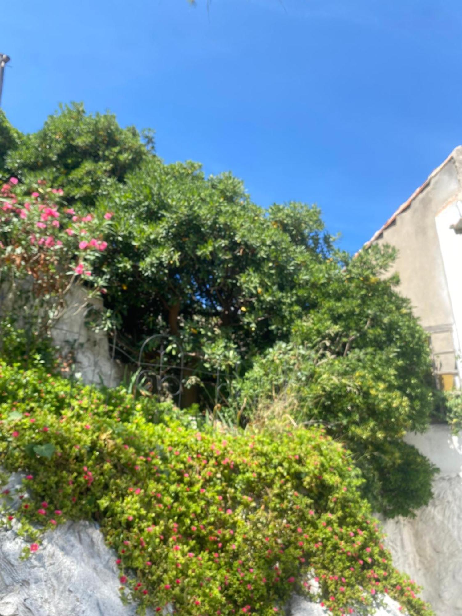 Au Coeur Du Parc National Du Massif Des Calanques, La Flibuste Des Goudes, Maison 2 Chambres, Climatisee, Jardins, Solarium, Proche Plage, Large Vue Mer Marseille Exteriér fotografie